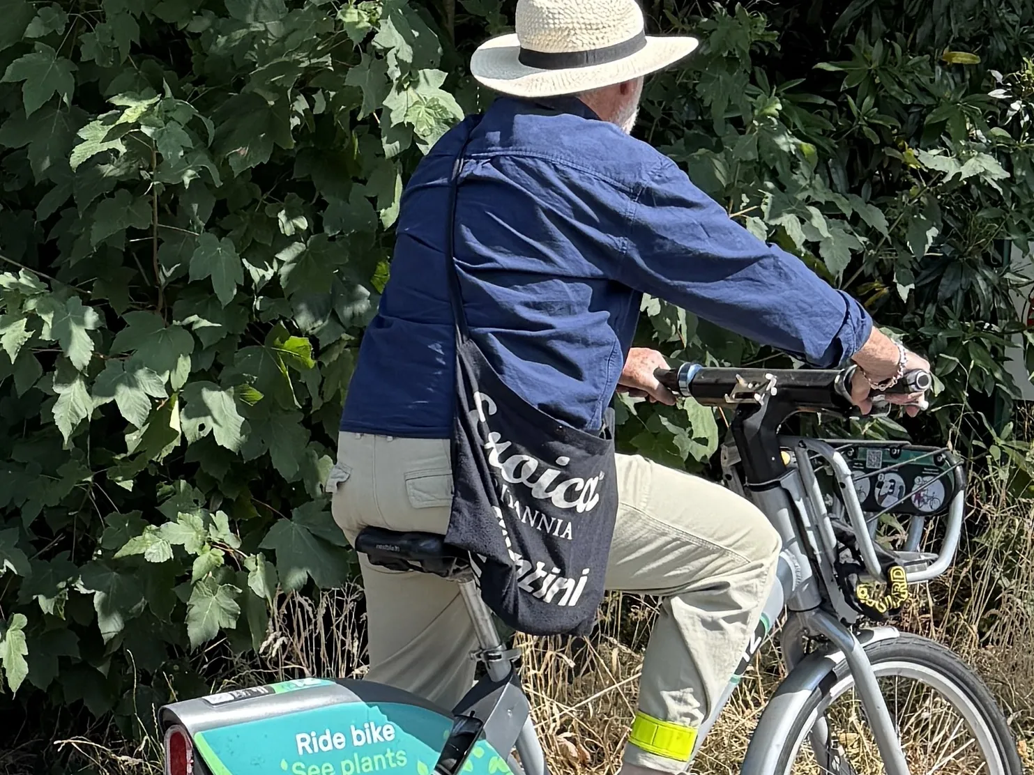 A rider in a sun hat on one of the RHS Bridgewater shared bikes.