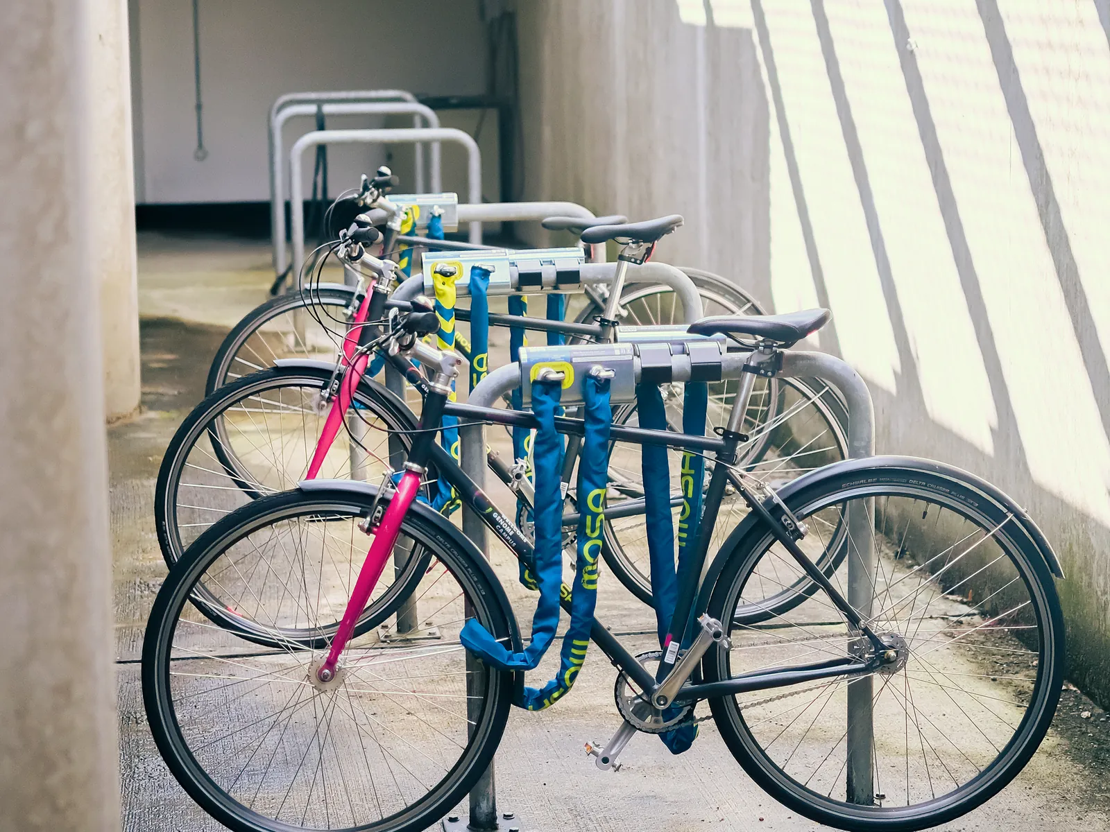 Shared bikes with pink forks locked to Mosa docks in a campus bike shelter.