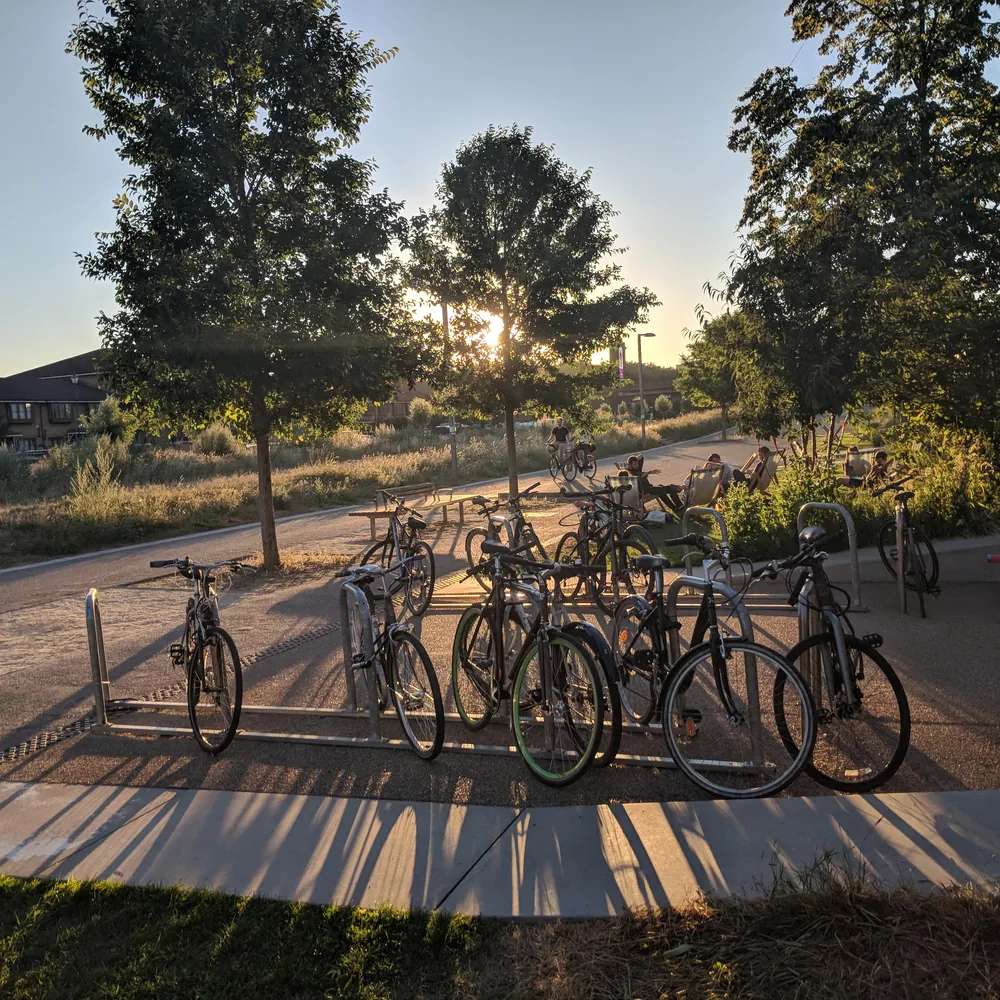 Bikes parked on racks along a tree-lined campus path at sunset.