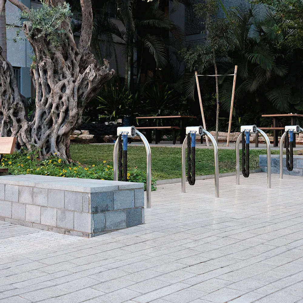 Public bike racks with Mosa docks in a paved square beside an old olive tree.
